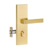 Front door handle, brushed brass