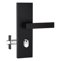 Black front door handle
