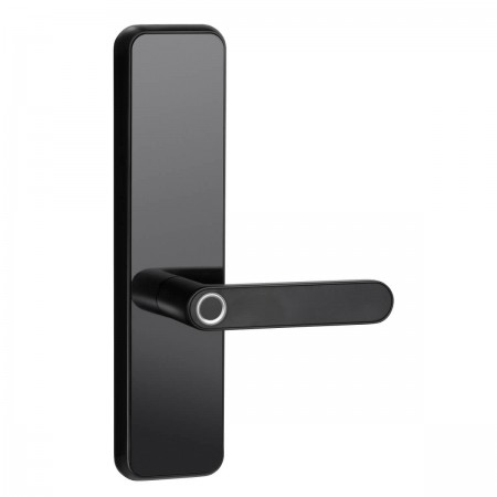 Electronic entrance door deals locks