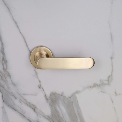 brass door handle