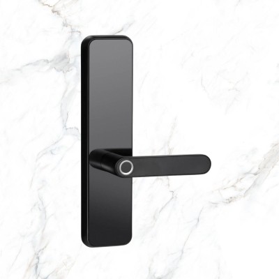 Smart lock Lemaar multiple functions