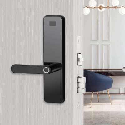 smart lock with fingerprint entry function