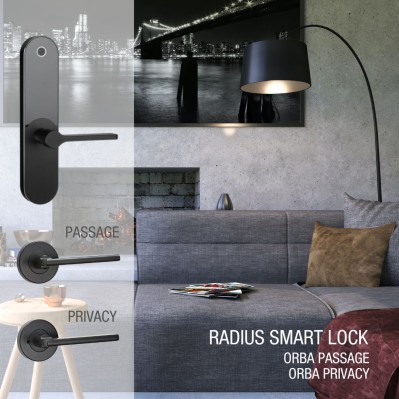matching door hardware, smart lock and Orba door handle